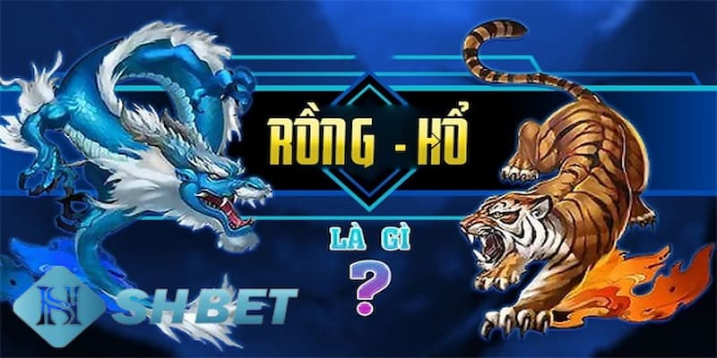 Đôi nét về tựa game rồng hổ online