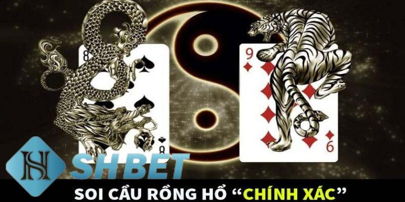 soi cầu rồng hổ