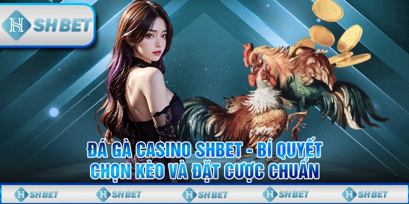 Đá Gà Casino SHBET - Bí Quyết Chọn Kèo Và Đặt Cược Chuẩn