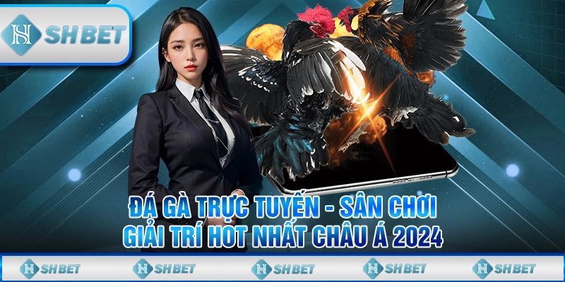 Đá Gà Trực Tuyến - Sân Chơi Giải Trí Hot Nhất Châu Á 2024