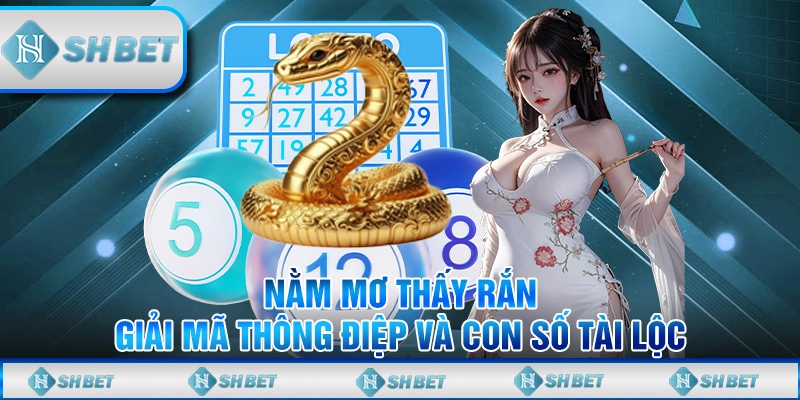 Nằm Mơ Thấy Rắn - Giải Mã Thông Điệp Và Con Số Tài Lộc