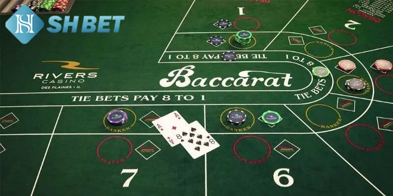 Bật mí cách thắng Baccarat hốt bạc từ chuyên gia