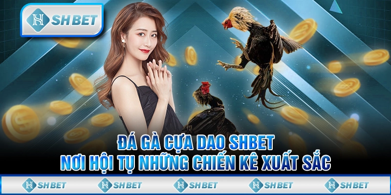 Đá Gà Cựa Dao SHBET - Nơi Hội Tụ Những Chiến Kê Xuất Sắc