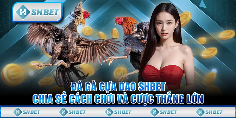 Đá Gà Cựa Dao SHBET - Chia Sẻ Cách Chơi Và Cược Thắng Lớn