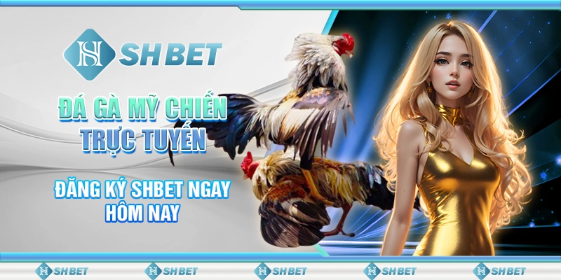 Đá Gà Mỹ Chiến Trực Tuyến - Đăng Ký SHBET Ngay Hôm Nay