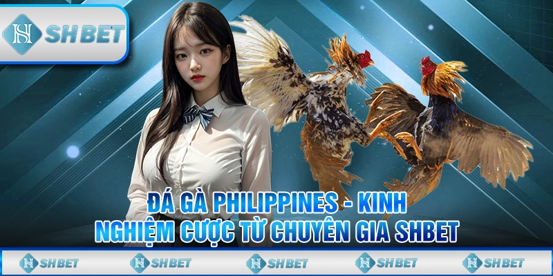 Đá Gà Philippines - Kinh Nghiệm Cược Từ Chuyên Gia SHBET