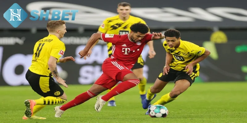 Giới thiệu đôi nét tổng quan về đặt cược Bundesliga Đức