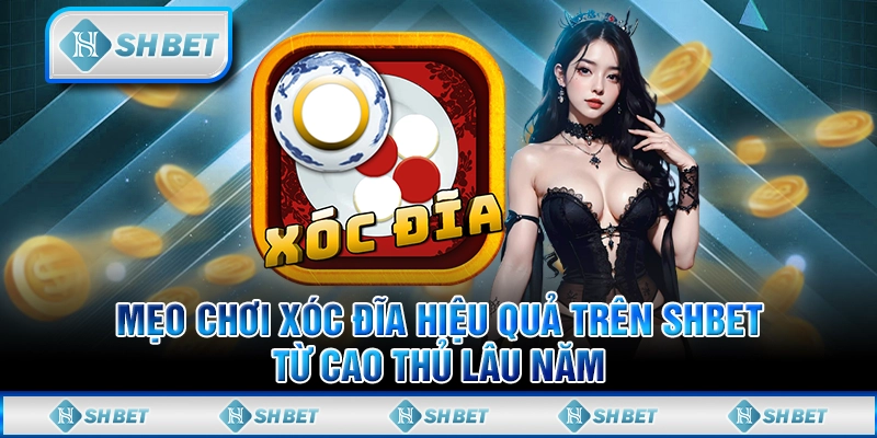 Mẹo Chơi Xóc Đĩa Hiệu Quả Trên SHBET Từ Cao Thủ Lâu Năm