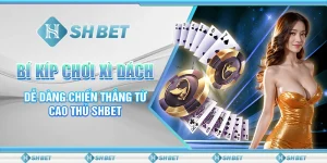 Bí Kíp Chơi Xì Dách Dễ Dàng Chiến Thắng Từ Cao Thủ SHBET