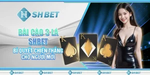 Bài Cào 3 Lá SHBET - Bí Quyết Chiến Thắng Cho Người Mới