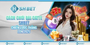 Cách Chơi Bài Catte SHBET – Chiến Lược Thắng Lớn 2025