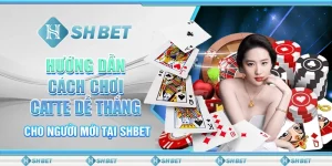 Hướng Dẫn Cách Chơi Catte Dễ Thắng Cho Người Mới Tại SHBET