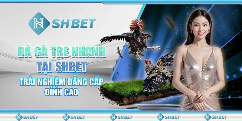 Lịch Thi Đấu Bóng Đá - Cập Nhật Chính Xác Tại SHBET 2025