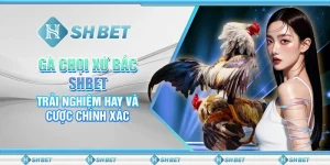 Gà Chọi Xứ Bắc SHBET – Trải Nghiệm Hay Và Cược Chính Xác