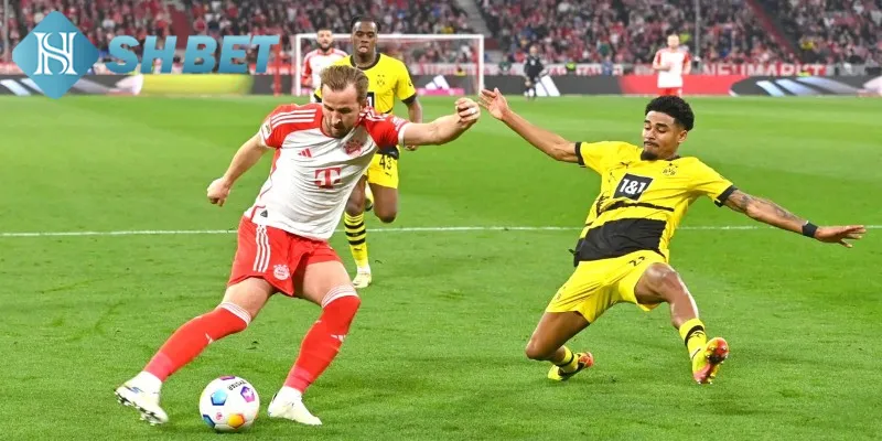 Bundesliga Đức là giải bóng đá được quan tâm hiện nay